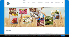 Desktop Screenshot of efosz.hu